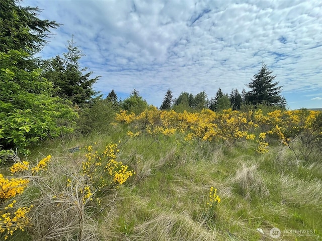 111 Killion Rd SE, Yelm, WA 98597