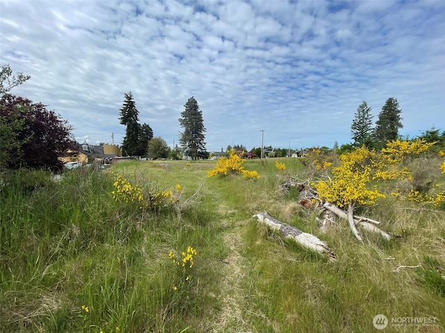 111 Killion Rd SE, Yelm, WA 98597