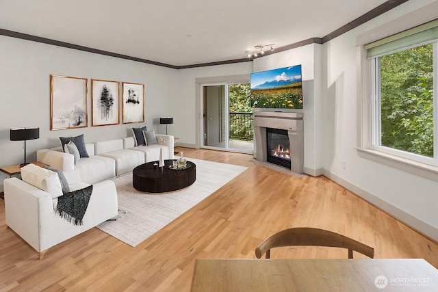 18609 SE Newport Way Unit 408, Issaquah, WA 98027 - living room with ornamental molding, a fireplace with flush hearth, wood finished floors, and baseboards