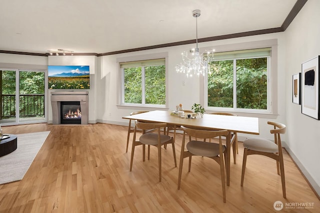 18609 SE Newport Way Unit 408, Issaquah, WA 98027 - dining space with ornamental molding, a glass covered fireplace, plenty of natural light, and baseboards