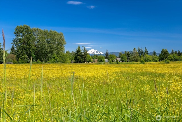 1119 Sunset Ave, Bellingham, WA 98226 - view of nature featuring rural landscape and a mountainous background