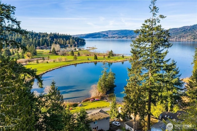 14 Orchid Ct, Bellingham, WA 98226 - photo 1