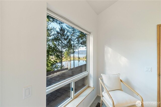 14 Orchid Ct, Bellingham, WA 98226 - photo 20