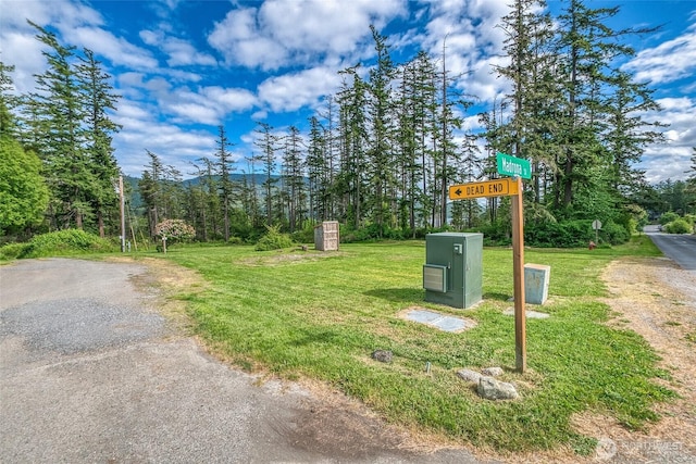 616 Rose St, Orcas Island, WA 98245 - photo 3