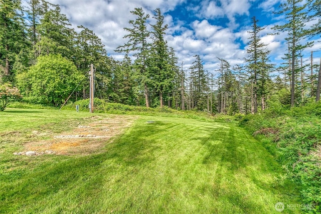 616 Rose St, Orcas Island, WA 98245 - photo 6