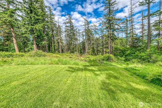 616 Rose St, Orcas Island, WA 98245 - photo 8