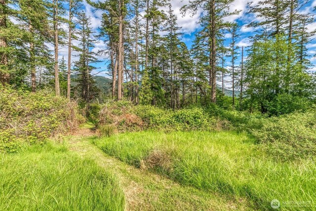 616 Rose St, Orcas Island, WA 98245 - photo 10