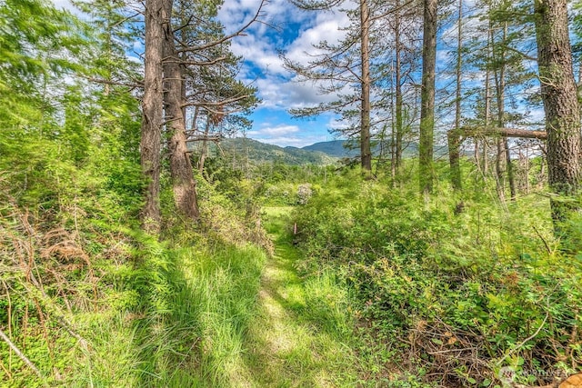 616 Rose St, Orcas Island, WA 98245 - photo 11