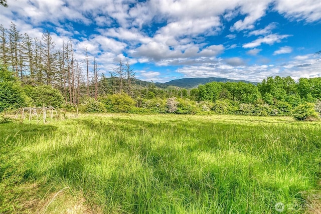 616 Rose St, Orcas Island, WA 98245 - photo 12