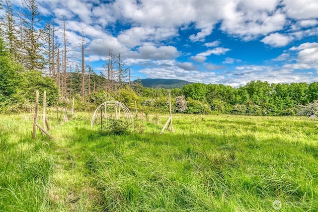 616 Rose St, Orcas Island, WA 98245 - photo 13