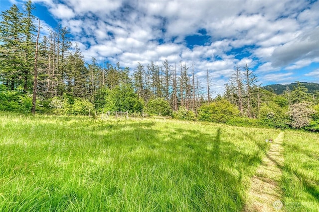 616 Rose St, Orcas Island, WA 98245 - photo 14