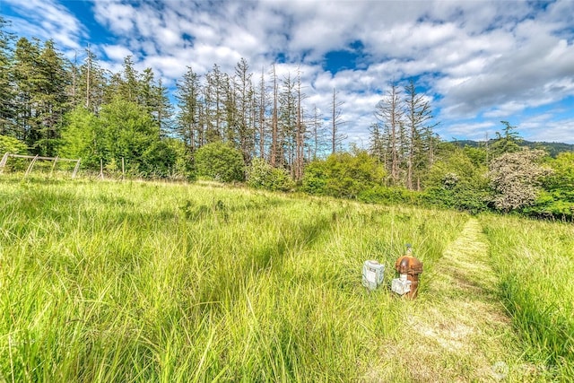616 Rose St, Orcas Island, WA 98245 - photo 15