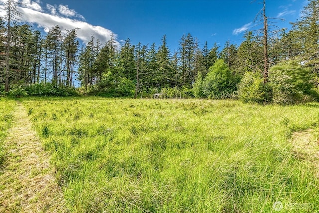 616 Rose St, Orcas Island, WA 98245 - photo 16