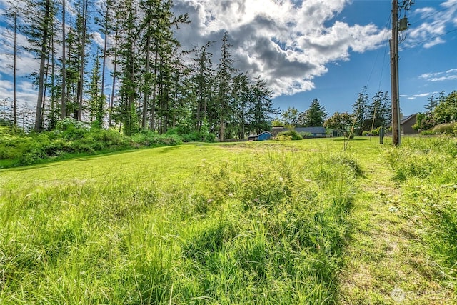 616 Rose St, Orcas Island, WA 98245 - photo 18