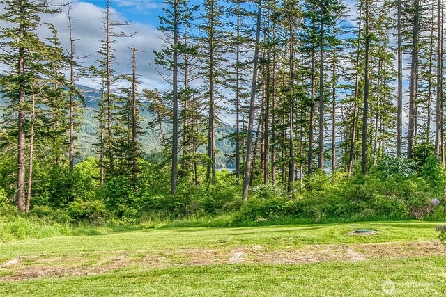 616 Rose St, Orcas Island, WA 98245 - photo 20