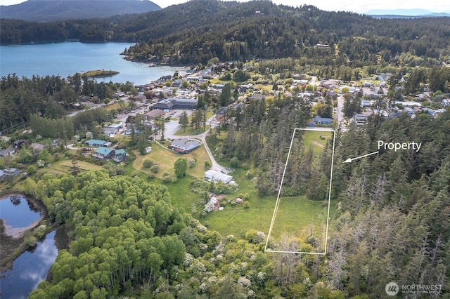 616 Rose St, Orcas Island, WA 98245 - photo 22