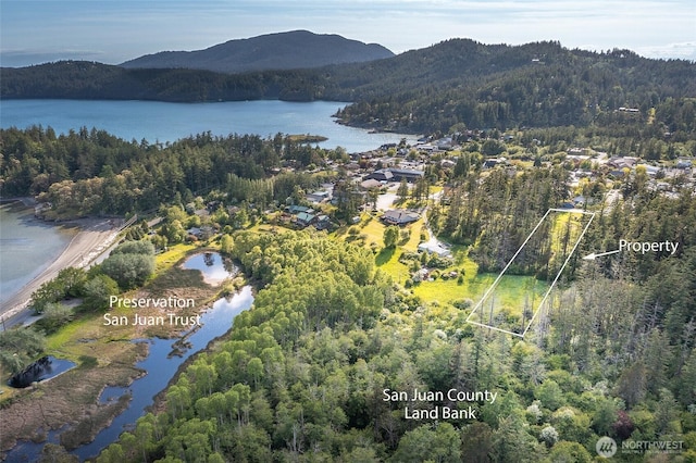 616 Rose St, Orcas Island, WA 98245 - photo 23