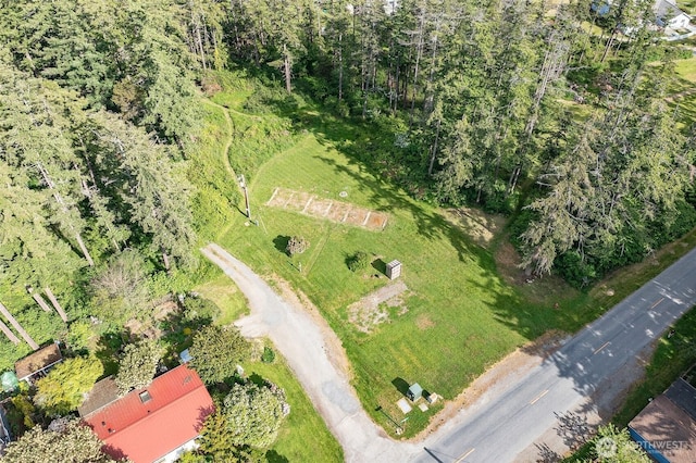 616 Rose St, Orcas Island, WA 98245 - photo 26