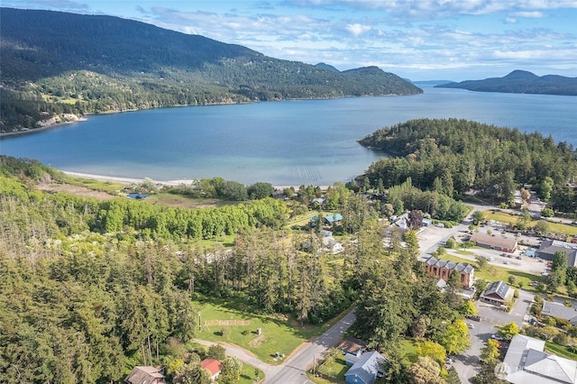 616 Rose St, Orcas Island, WA 98245 - photo 28