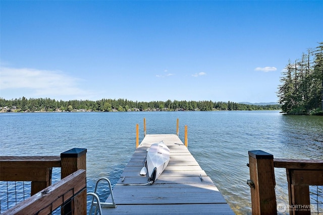 1234 Lake Sawyer Is, Black Diamond, WA 98010 - photo 6
