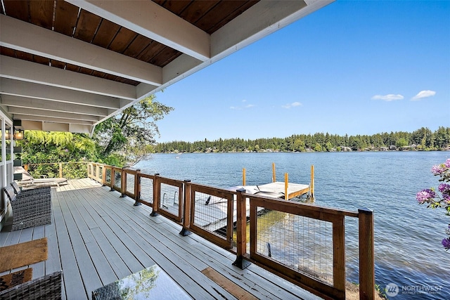 1234 Lake Sawyer Is, Black Diamond, WA 98010 - photo 4