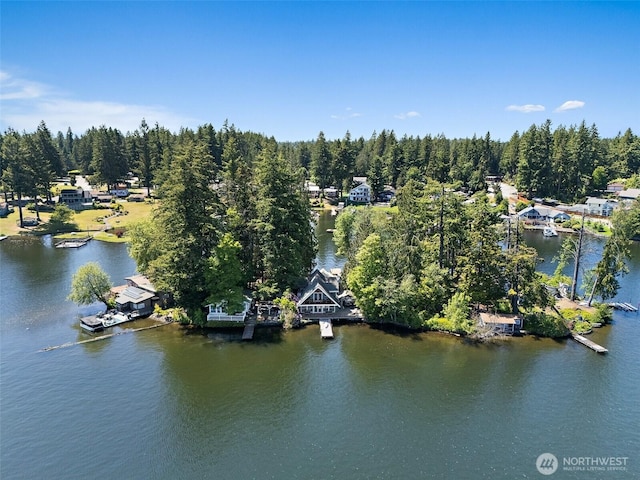 1234 Lake Sawyer Is, Black Diamond, WA 98010 - photo 7