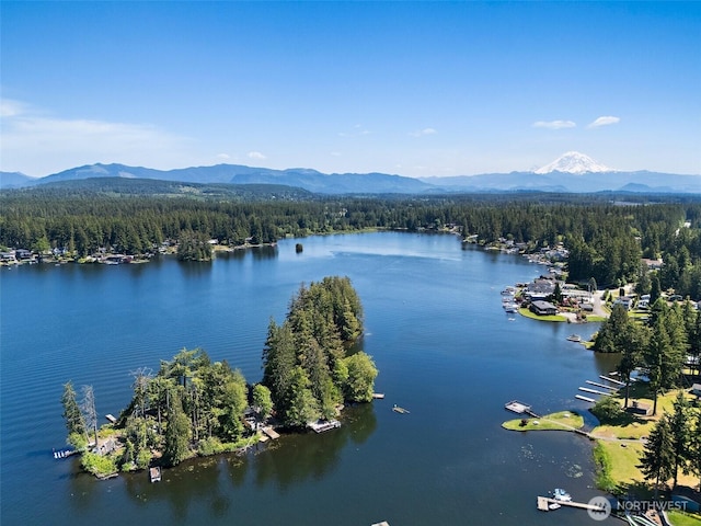 1234 Lake Sawyer Is, Black Diamond, WA 98010 - photo 8