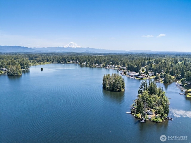 1234 Lake Sawyer Is, Black Diamond, WA 98010 - photo 39