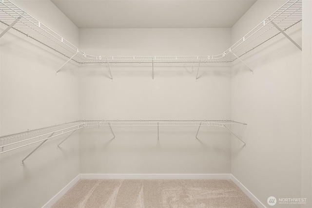 19722 Filbert Dr Unit A-3, Bothell, WA 98012 - spacious closet with light colored carpet
