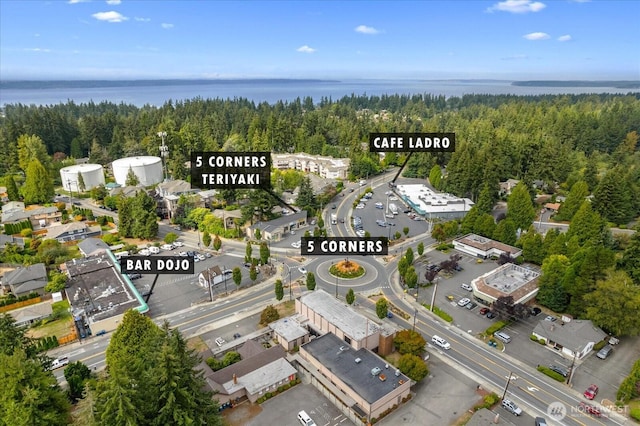 8225 212th St SW # 302, Edmonds, WA 98026 - bird's eye view of a heavily wooded area and a nearby body of water