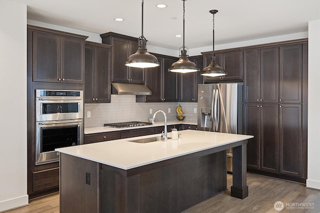 26627 NE Boyd Way Unit 101, Duvall, WA 98019 - kitchen with under cabinet range hood, a sink, appliances with stainless steel finishes, light wood-style floors, and dark brown cabinets