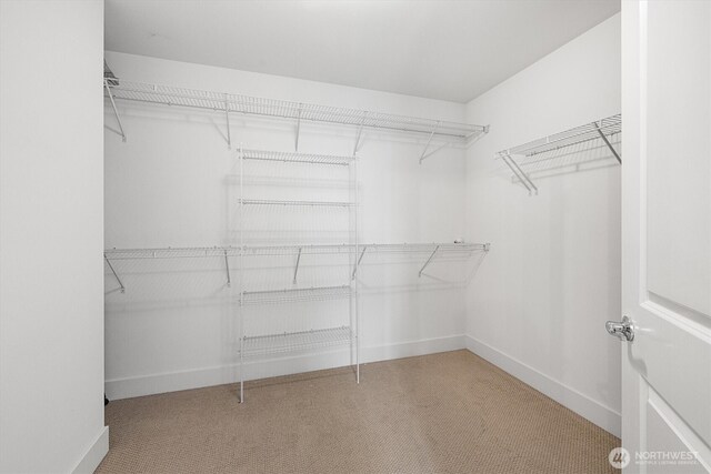 26627 NE Boyd Way Unit 101, Duvall, WA 98019 - walk in closet featuring carpet floors