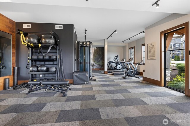 26627 NE Boyd Way Unit 101, Duvall, WA 98019 - exercise room with rail lighting, baseboards, healthy amount of natural light, and wood walls