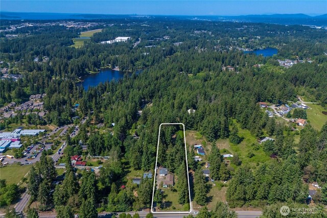 3256 S 360th St, Auburn, WA 98001 - aerial view of property's location with a heavily wooded area, property parcel outlined, and a nearby body of water