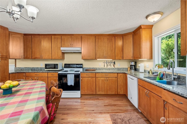 3256 S 360th St, Auburn, WA 98001 - kitchen featuring electric stove, under cabinet range hood, a sink, white dishwasher, and a chandelier
