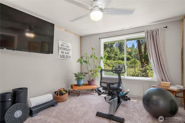 3256 S 360th St, Auburn, WA 98001 - workout area featuring carpet floors and a ceiling fan