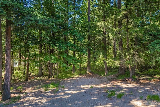 3256 S 360th St, Auburn, WA 98001 - view of woods