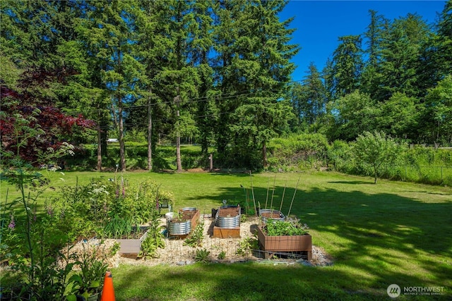 3256 S 360th St, Auburn, WA 98001 - view of green lawn featuring a vegetable garden