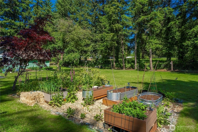 3256 S 360th St, Auburn, WA 98001 - view of grassy yard with a vegetable garden