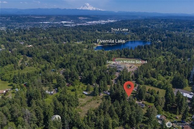 3256 S 360th St, Auburn, WA 98001 - aerial view of property's location with a heavily wooded area and a water and mountain view