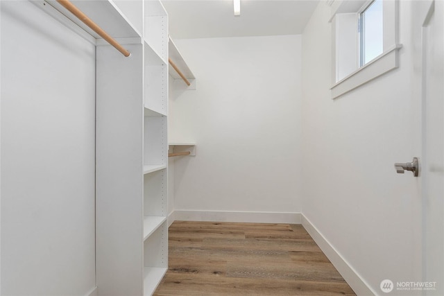 2730-2734 Nevada St, Bellingham, WA 98226 - spacious closet featuring light wood-style flooring