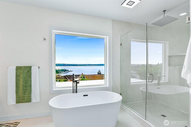 5942 Beverly Ave NE, Tacoma, WA 98422 - bathroom featuring plenty of natural light, a freestanding tub, and a shower stall