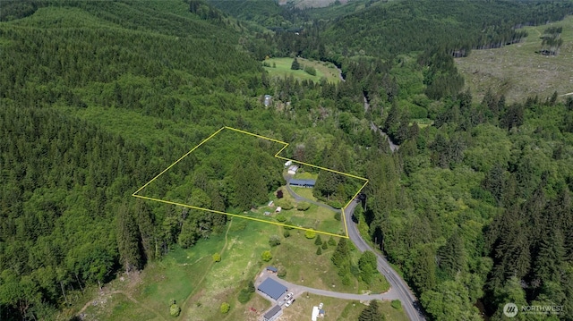 371 Pigeon Springs Rd, Onalaska, WA 98570 - view of property location with a forest, property parcel outlined, and a mountain backdrop
