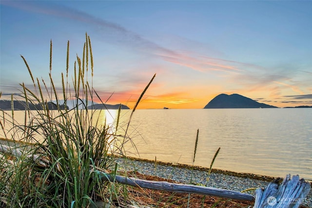 10903 Samish Beach Ln, Bow, WA 98232 - water view