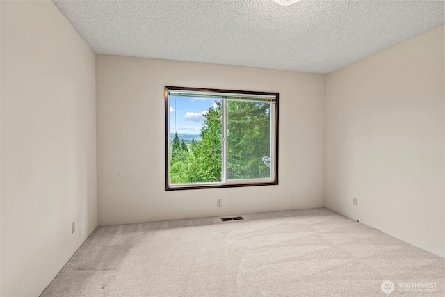 1086 W State Route 4, Skamokawa, WA 98647 - carpeted empty room featuring a textured ceiling