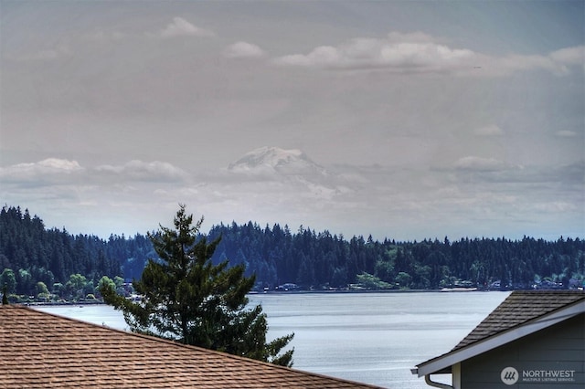 5731 Madrona Ave NE, Bremerton, WA 98311 - photo 4