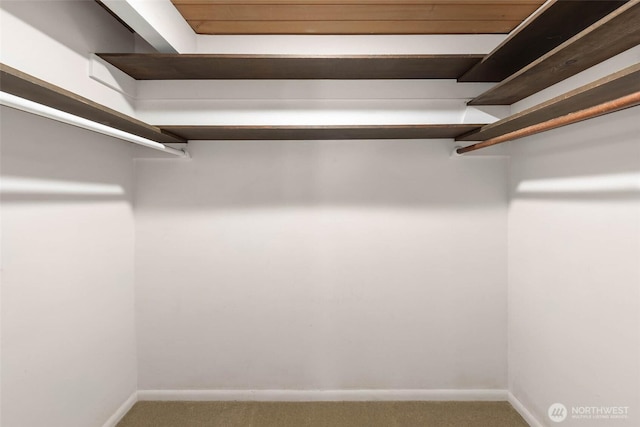 7633 NE 123rd St, Kirkland, WA 98034 - spacious closet with carpet floors