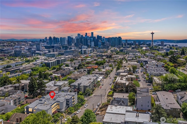 1400 Taylor Ave N Unit 203, Seattle, WA 98109 - view of urban area
