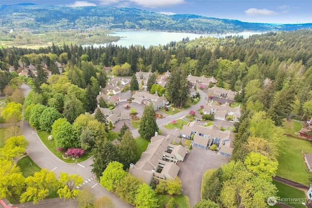 22002 SE 40th Ln Unit 1111, Issaquah, WA 98029 - aerial perspective of suburban area featuring a forest and a nearby body of water