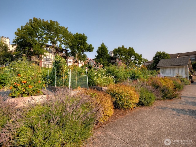 22002 SE 40th Ln Unit 1111, Issaquah, WA 98029 - view of yard with a garden